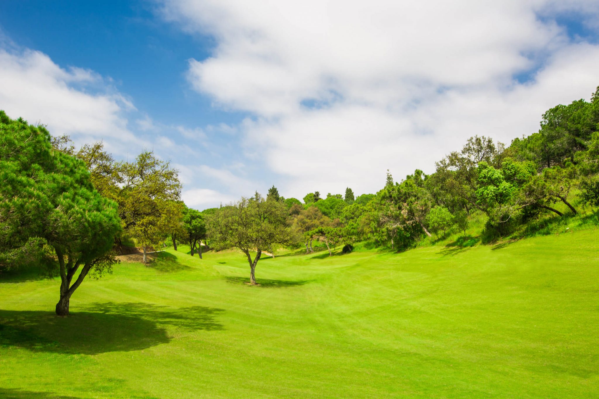 Chapparal Golf Club