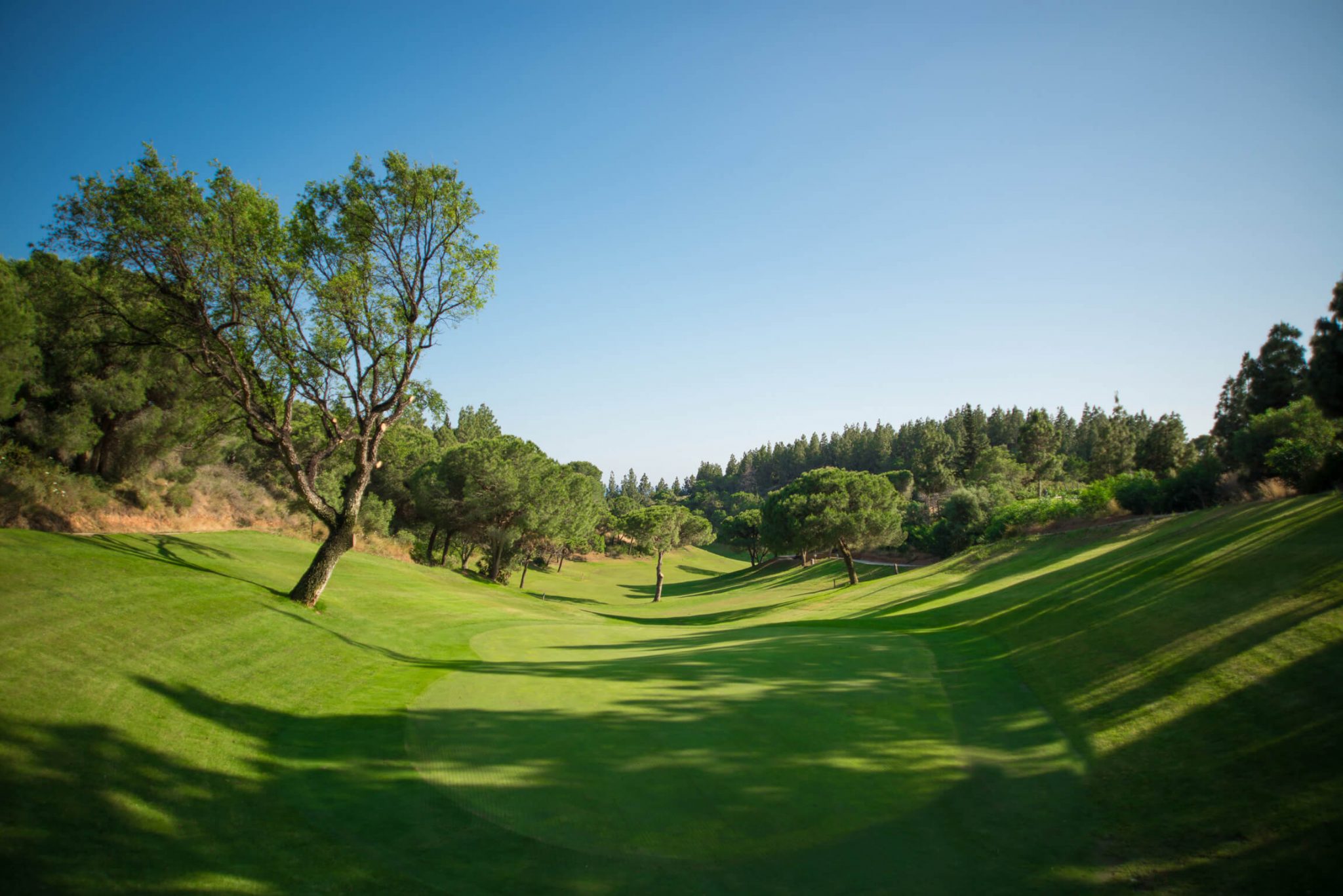 Chapparal Golf Club