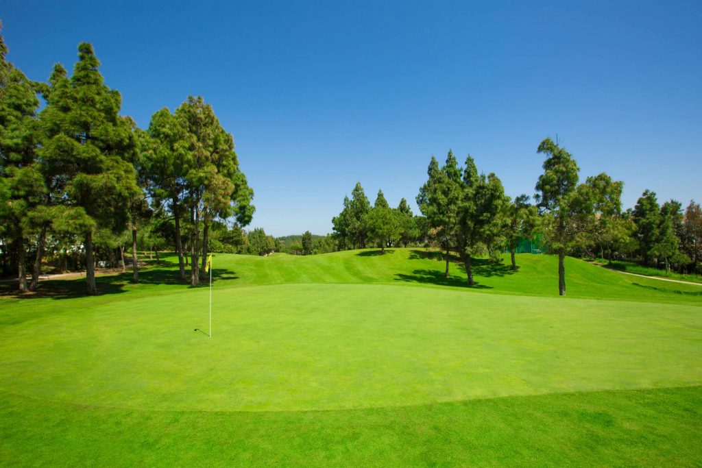 https://golftravelpeople.com/wp-content/uploads/2019/11/Chaparral-Golf-Club-Mijas-Costa-del-Sol-hoyo-5-Copy-1024x683.jpg
