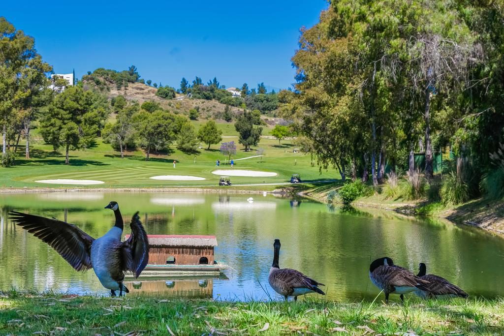 https://golftravelpeople.com/wp-content/uploads/2019/12/Sol-Marbella-Estepona-Atalaya-Park-4-1024x683.jpg