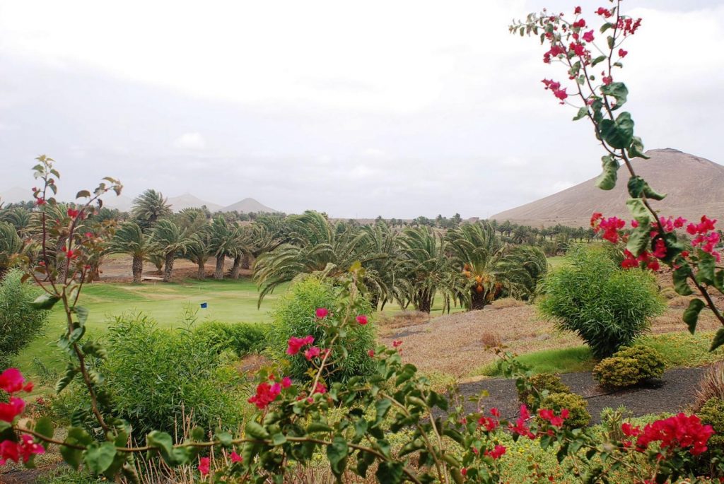https://golftravelpeople.com/wp-content/uploads/2020/11/Costa-Teguise-Golf-Club-Lanzarote-12-1024x685.jpg