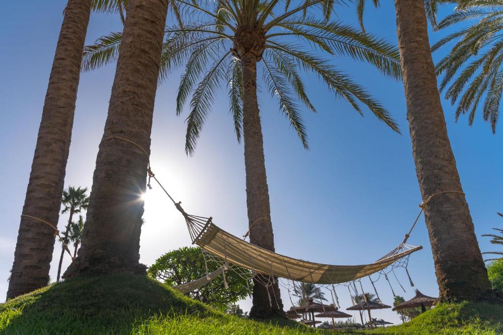 https://golftravelpeople.com/wp-content/uploads/2020/11/Elba-Sara-Beach-Golf-Resort-Fuerteventura-Swimming-Pools-and-Leisure-Facilities-3.jpg