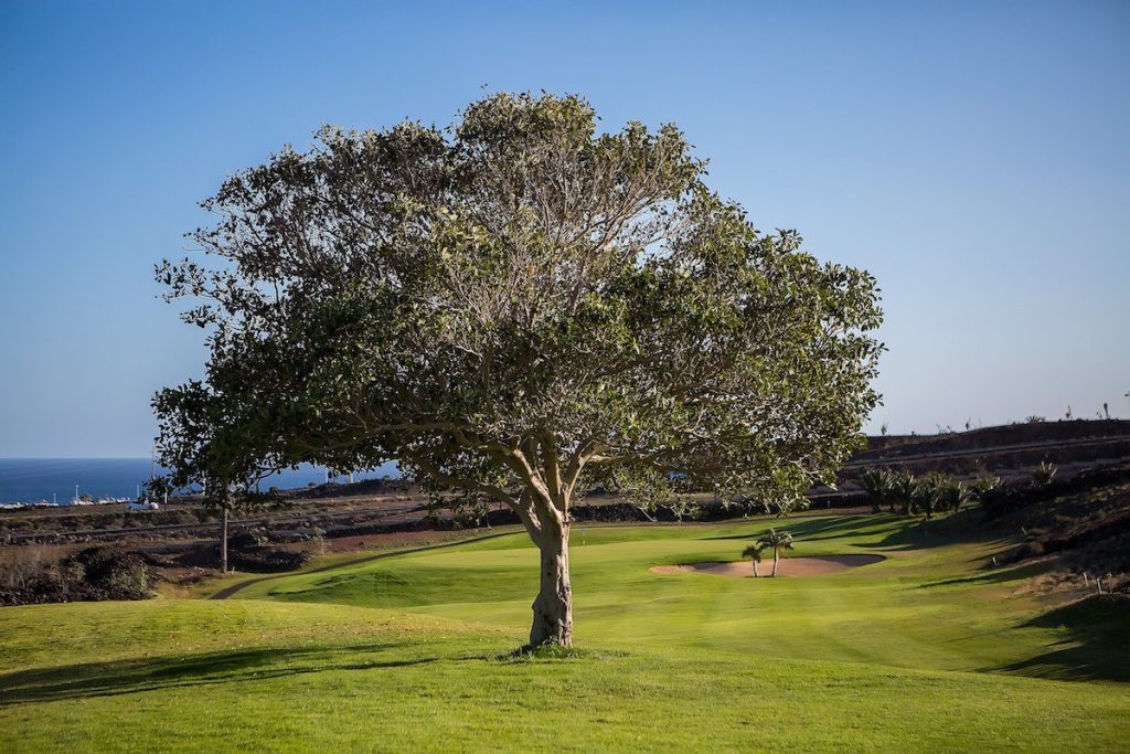 https://golftravelpeople.com/wp-content/uploads/2020/11/Lanzarote-Golf-Club-3-1024x683.jpg