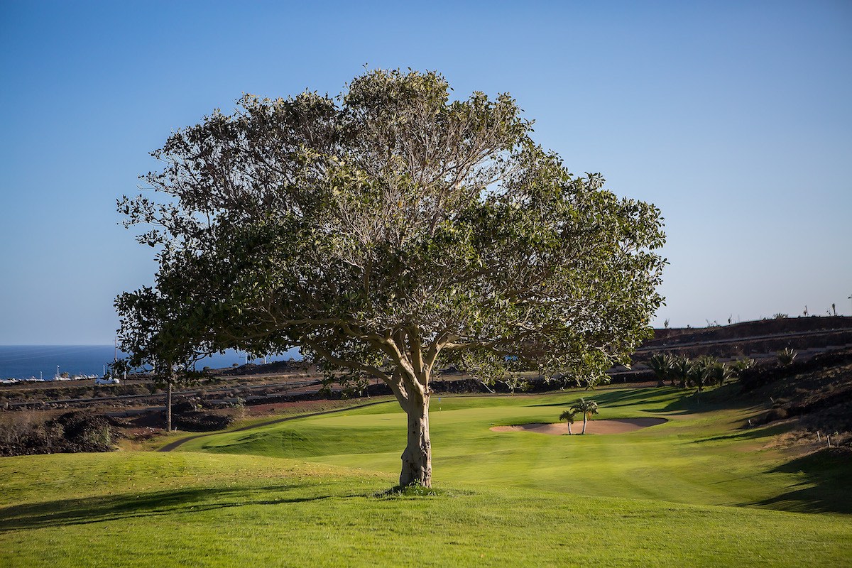 Lanzarote Golf Club
