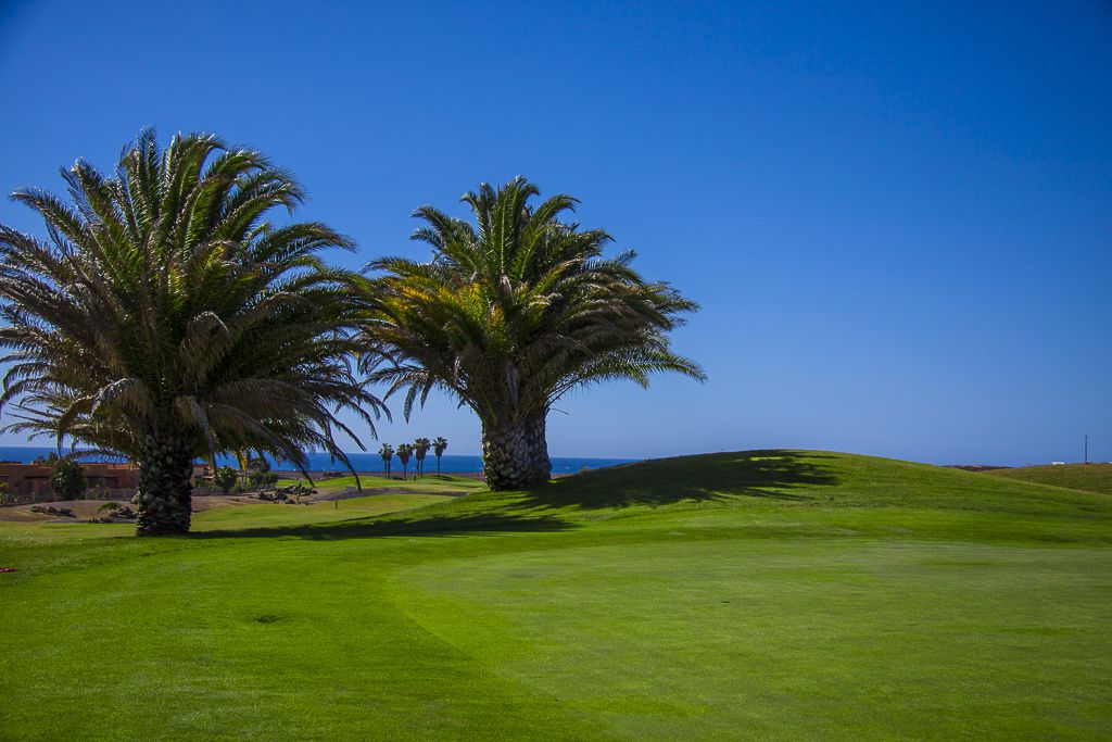 https://golftravelpeople.com/wp-content/uploads/2020/11/Salinas-de-Antigua-Golf-Club-Fuerteventura-9.jpg