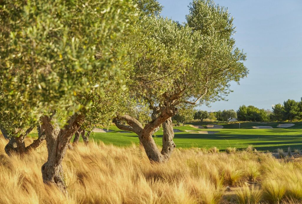 Infinitum Golf-Lakes Course