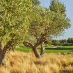 https://golftravelpeople.com/wp-content/uploads/2023/07/Infinitum-Lakes-Golf-Course-Costa-Daurada-5-150x150.jpg