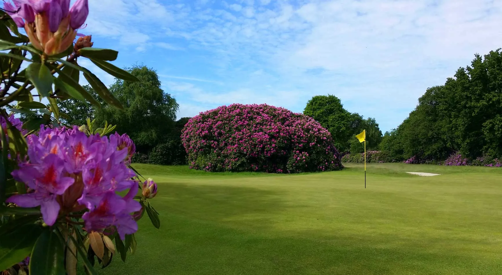 The Dorset Golf & Country Club holidays UK