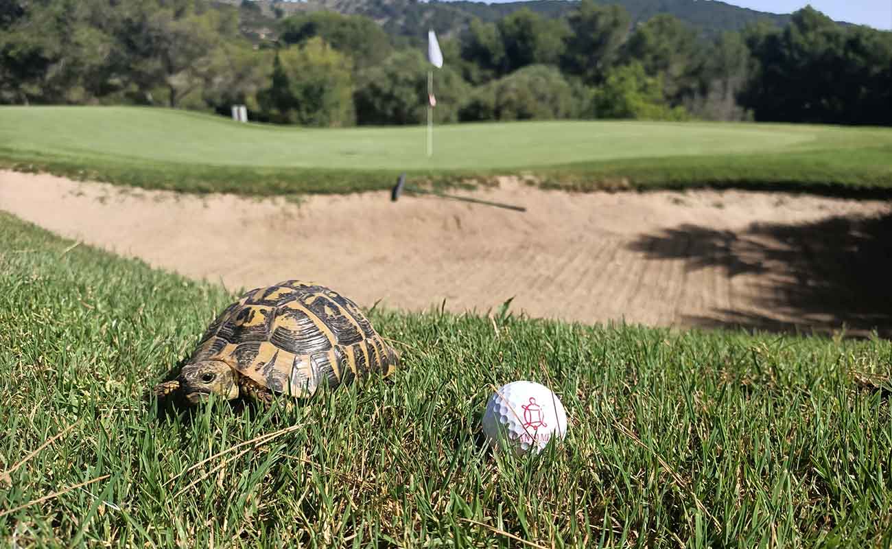 Canyamel Golf Club
