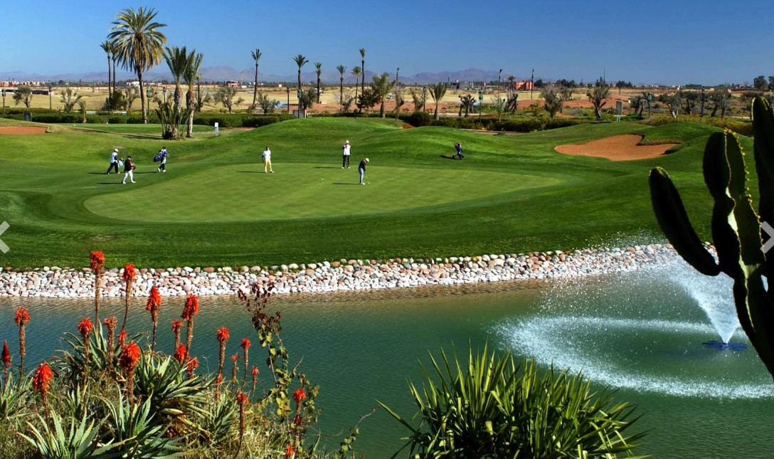 Golf Amelkis