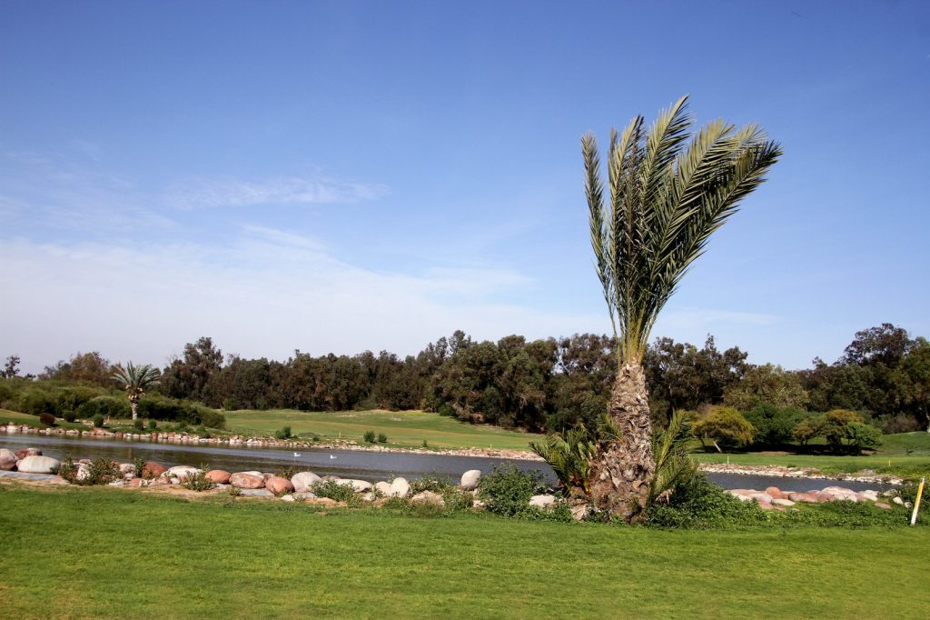 https://golftravelpeople.com/wp-content/uploads/2025/11/Golf-De-LOcean-Agadir-Morocco-14.jpg