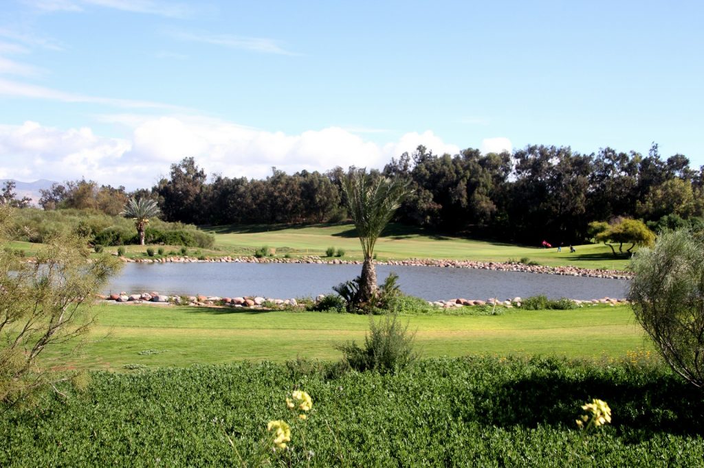 https://golftravelpeople.com/wp-content/uploads/2025/11/Golf-De-LOcean-Agadir-Morocco-17.jpg