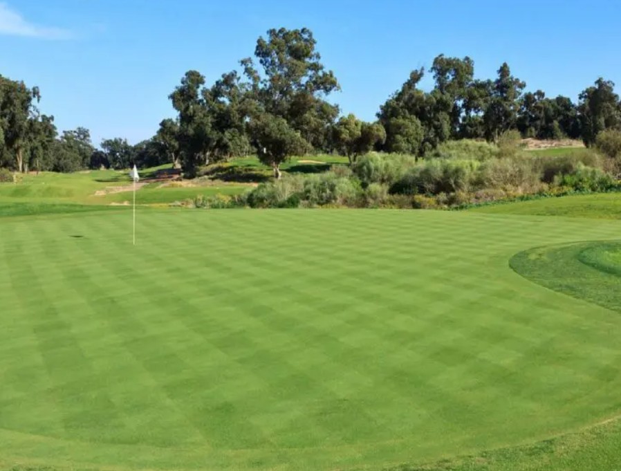 https://golftravelpeople.com/wp-content/uploads/2025/11/Golf-Du-Soleil-Adadir-Morocco-8.jpg