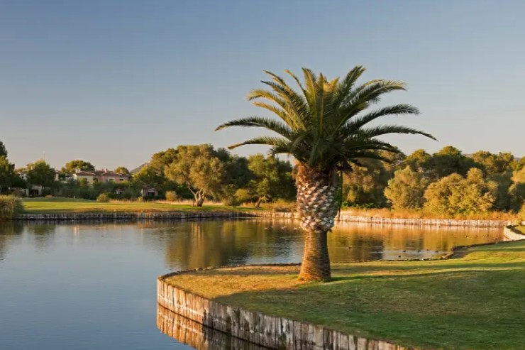https://golftravelpeople.com/wp-content/uploads/2025/11/Golf-Son-Antem-East-Mallorca-10.jpg