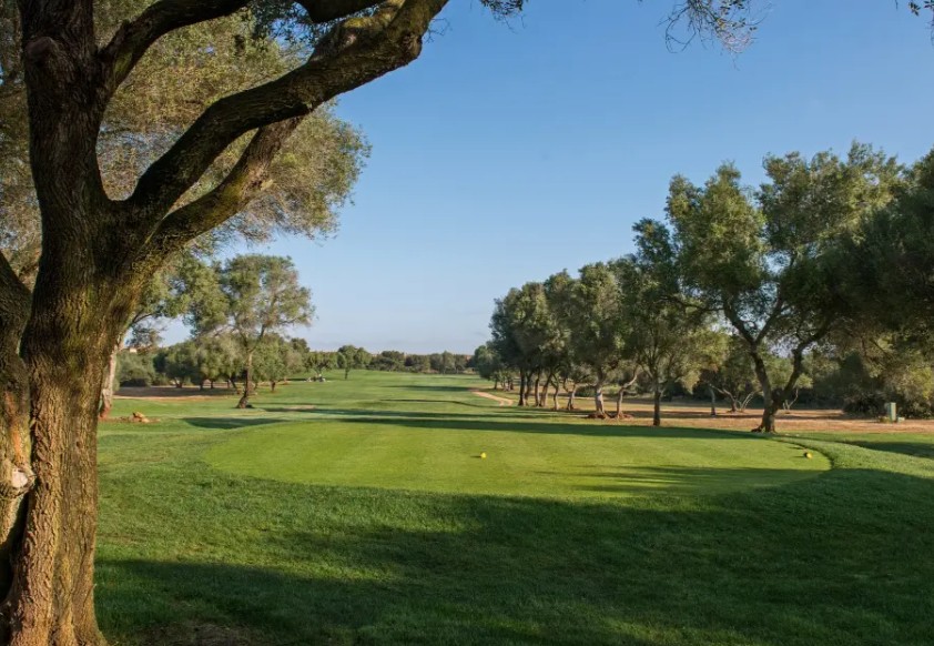 https://golftravelpeople.com/wp-content/uploads/2025/11/Golf-Son-Antem-East-Mallorca-8.jpg