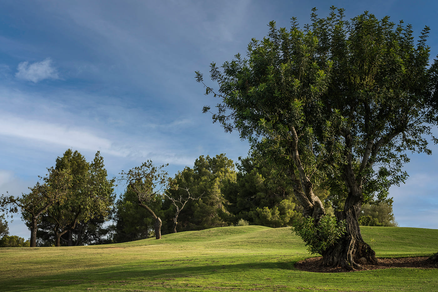 Son Quint Golf Mallorca