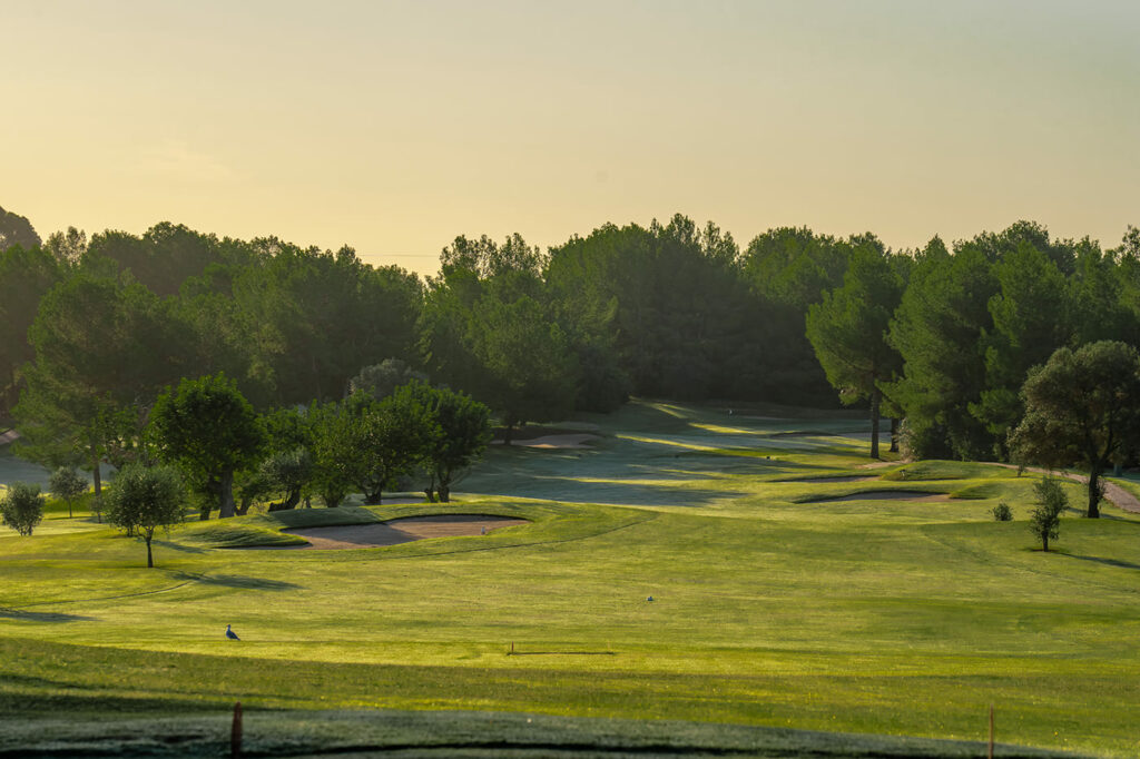 https://golftravelpeople.com/wp-content/uploads/2025/11/Golf-Son-Quint-Mallorca-6-1024x682.jpg