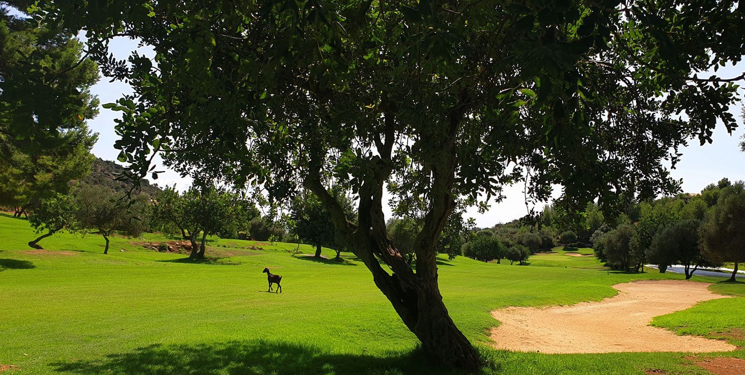 Son Termes Golf Mallorca