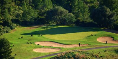 Son Termes Golf Mallorca
