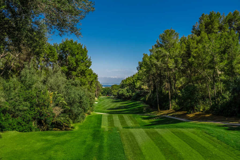 https://golftravelpeople.com/wp-content/uploads/2025/11/Golf-Son-Vida-Mallorca-11-1024x683.jpg