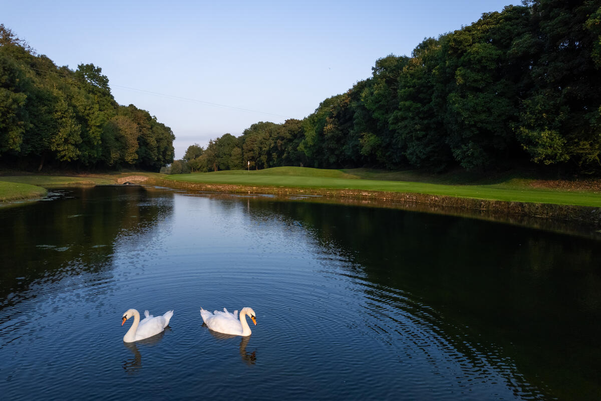 Golf Holidays in South East Ireland