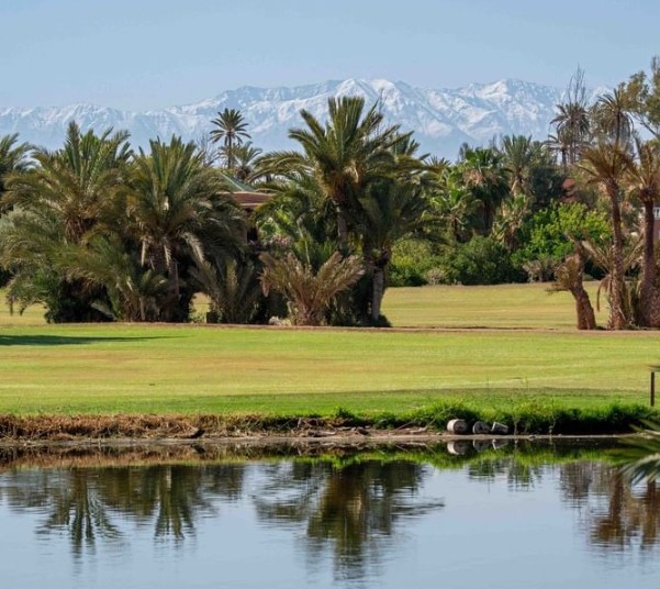 https://golftravelpeople.com/wp-content/uploads/2025/11/Palmeraie-Golf-by-Pickalbatros-Marrakech-Morocco-10.jpg
