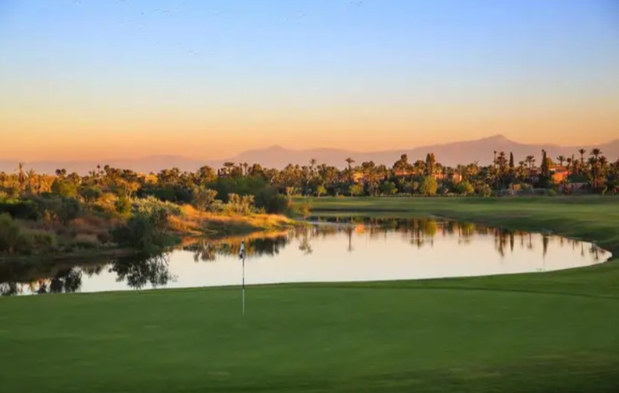 https://golftravelpeople.com/wp-content/uploads/2025/11/Palmeraie-Golf-by-Pickalbatros-Marrakech-Morocco-13.jpg
