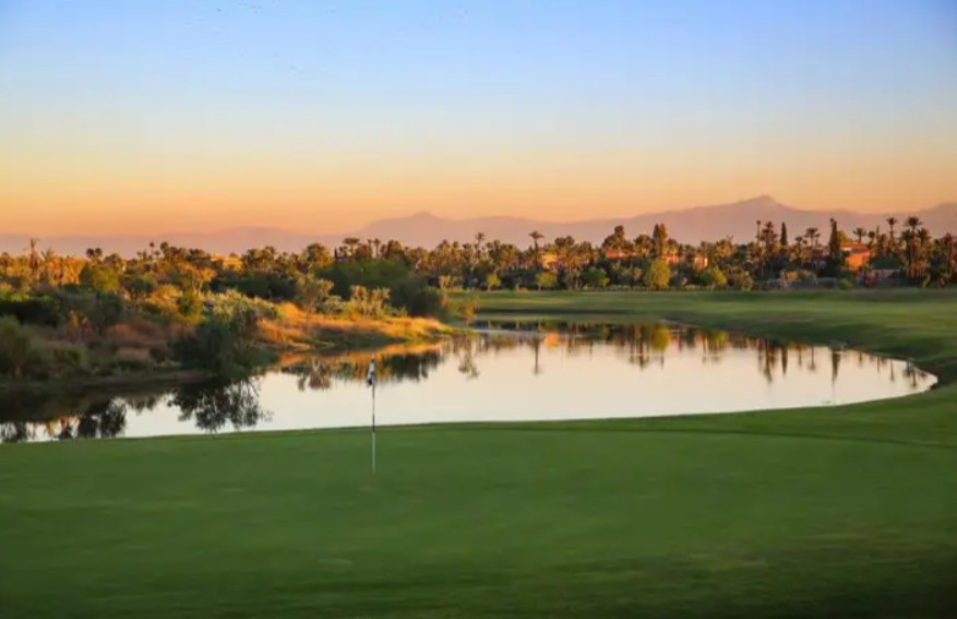 https://golftravelpeople.com/wp-content/uploads/2025/11/Palmeraie-Golf-by-Pickalbatros-Marrakech-Morocco-3.jpg