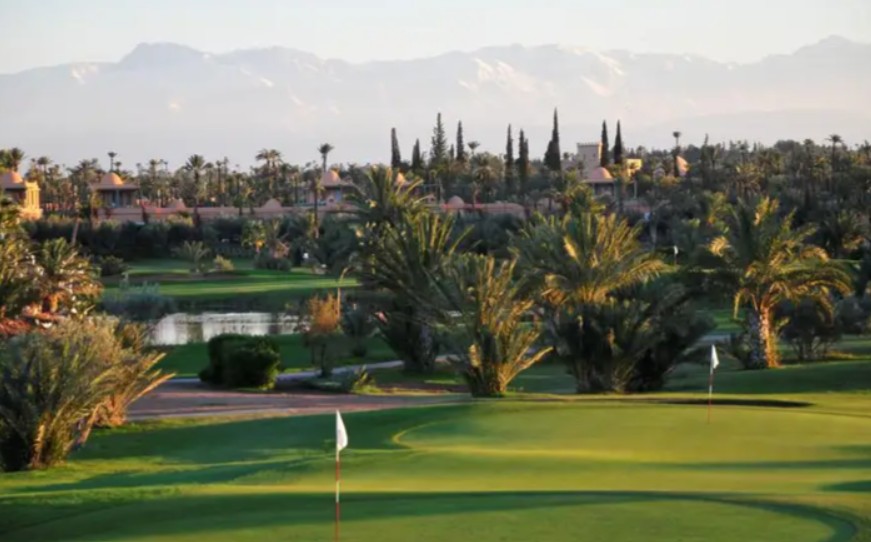 https://golftravelpeople.com/wp-content/uploads/2025/11/Palmeraie-Golf-by-Pickalbatros-Marrakech-Morocco-4.jpg