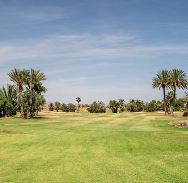 https://golftravelpeople.com/wp-content/uploads/2025/11/Palmeraie-Golf-by-Pickalbatros-Marrakech-Morocco-7.jpg