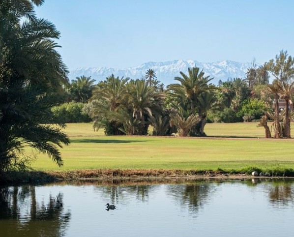 https://golftravelpeople.com/wp-content/uploads/2025/11/Palmeraie-Golf-by-Pickalbatros-Marrakech-Morocco-8.jpg