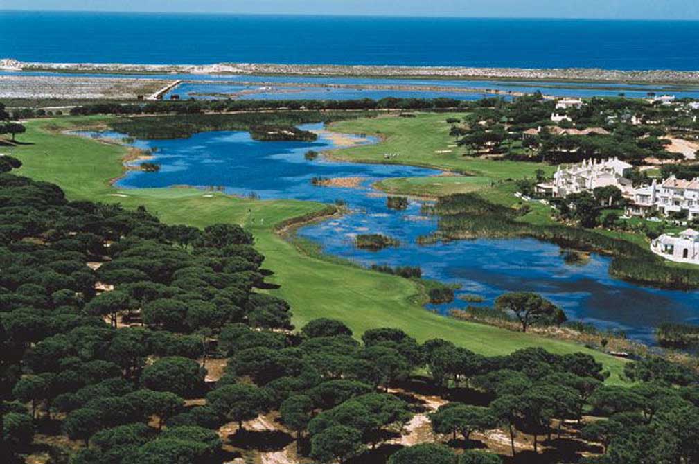 Palmares