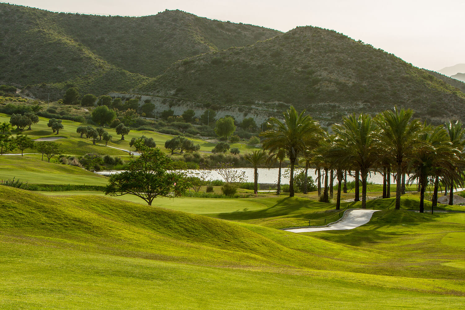 Font del Llop Golf Club