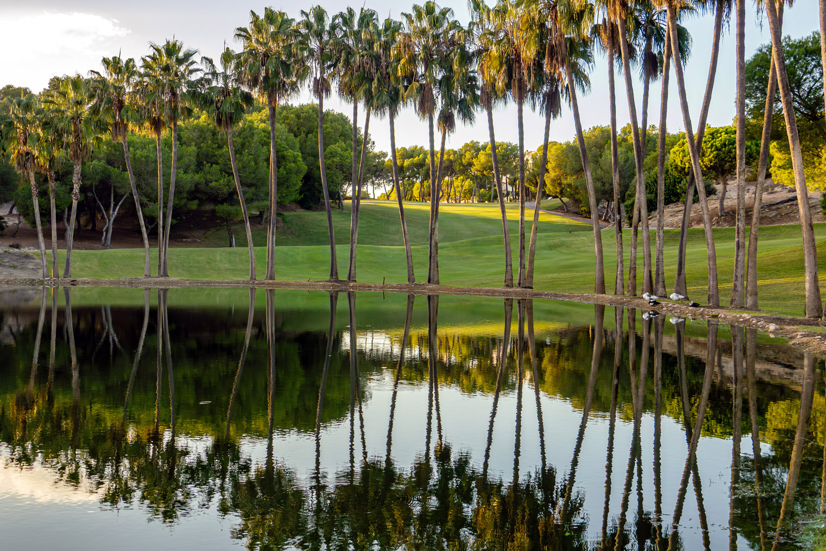 Las Ramblas Golf Club